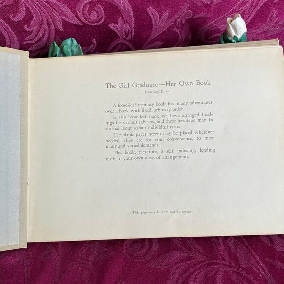 1927 Vintage Book: The Girl Graduate Her Own Book by SK Smith and L Perrett - Picture 3 of 12